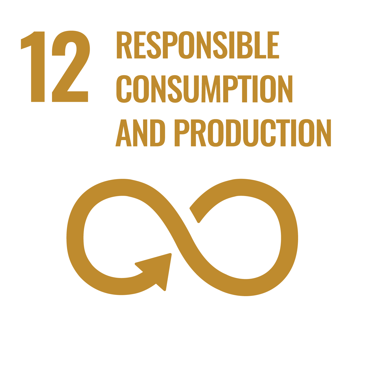 Responsible consumption and production - Goal 12