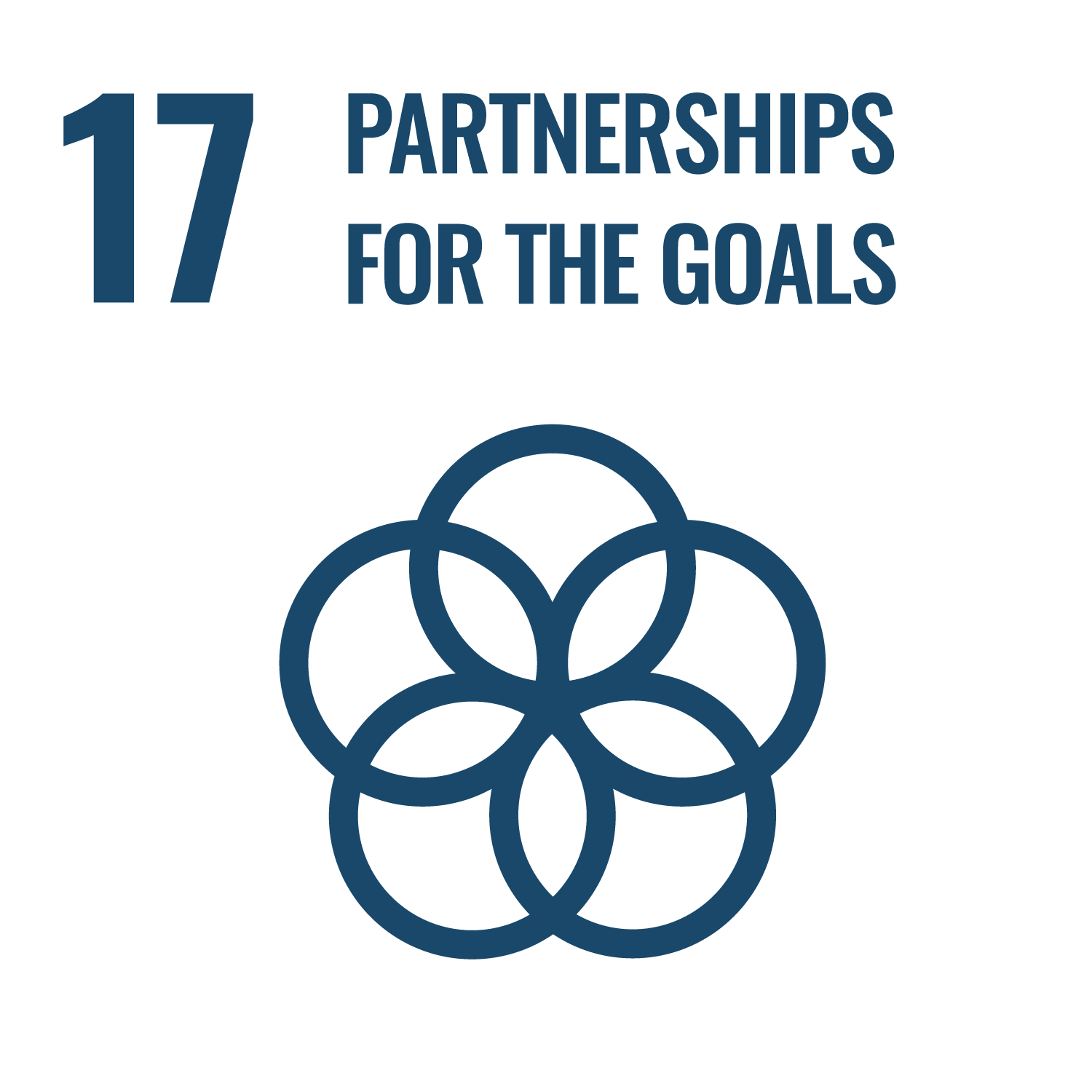 Goal 17 - Partnerships for the goals